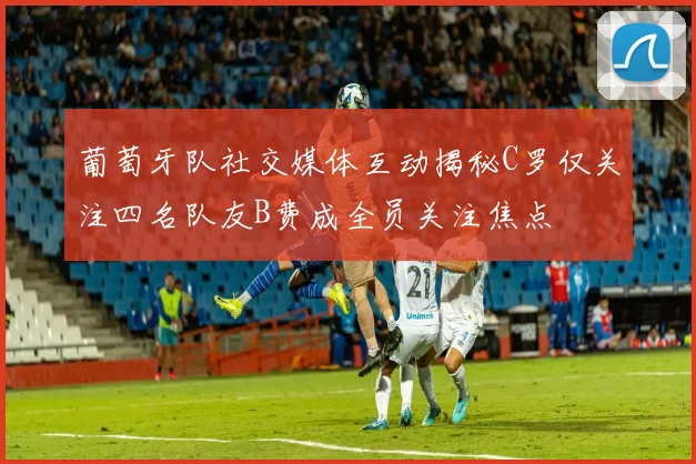 葡萄牙队社交媒体互动揭秘C罗仅关注四名队友B费成全员关注焦点